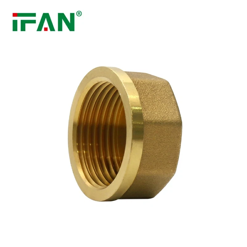 IFANPlus Brass Fitting End Cap